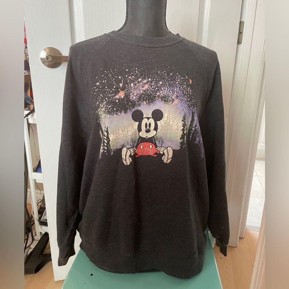 Disney x AE  Sweatshirt size M